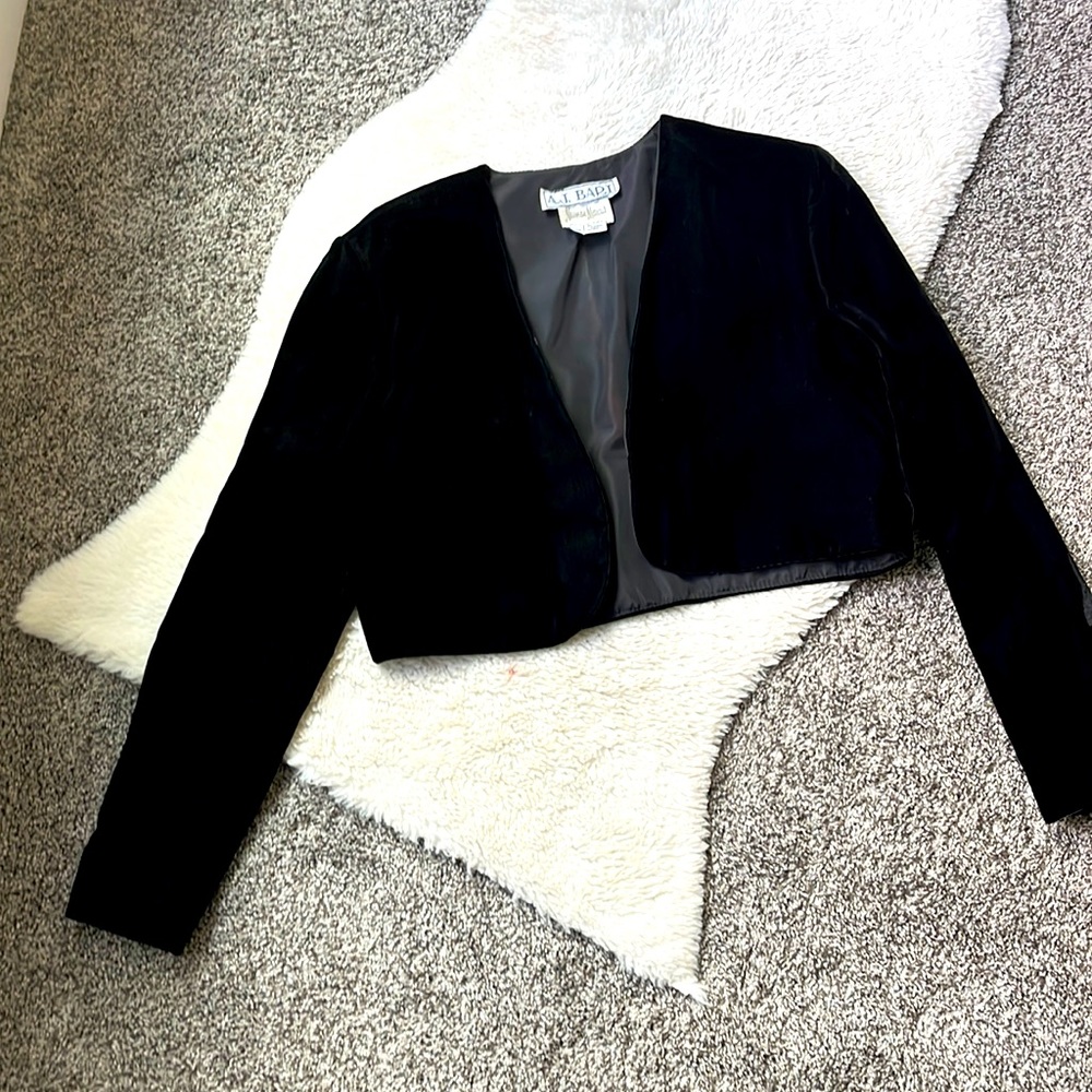 Vintage AJ Bari velvet crop jacket size 10.
